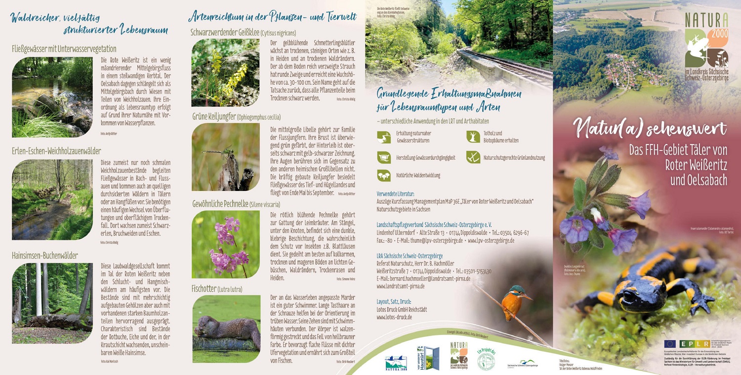 tl_files/downloads/Bilder Projekte/Projektstellen/Natura 2000 2.0/Flyer/Gebietsflyer_Taeler_RoteWeisseritz_1.jpg